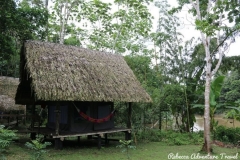 Yasuni Lodge - Differences between Yasuni and Cuyabeno