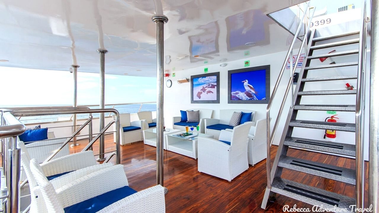 Cruise Lounge