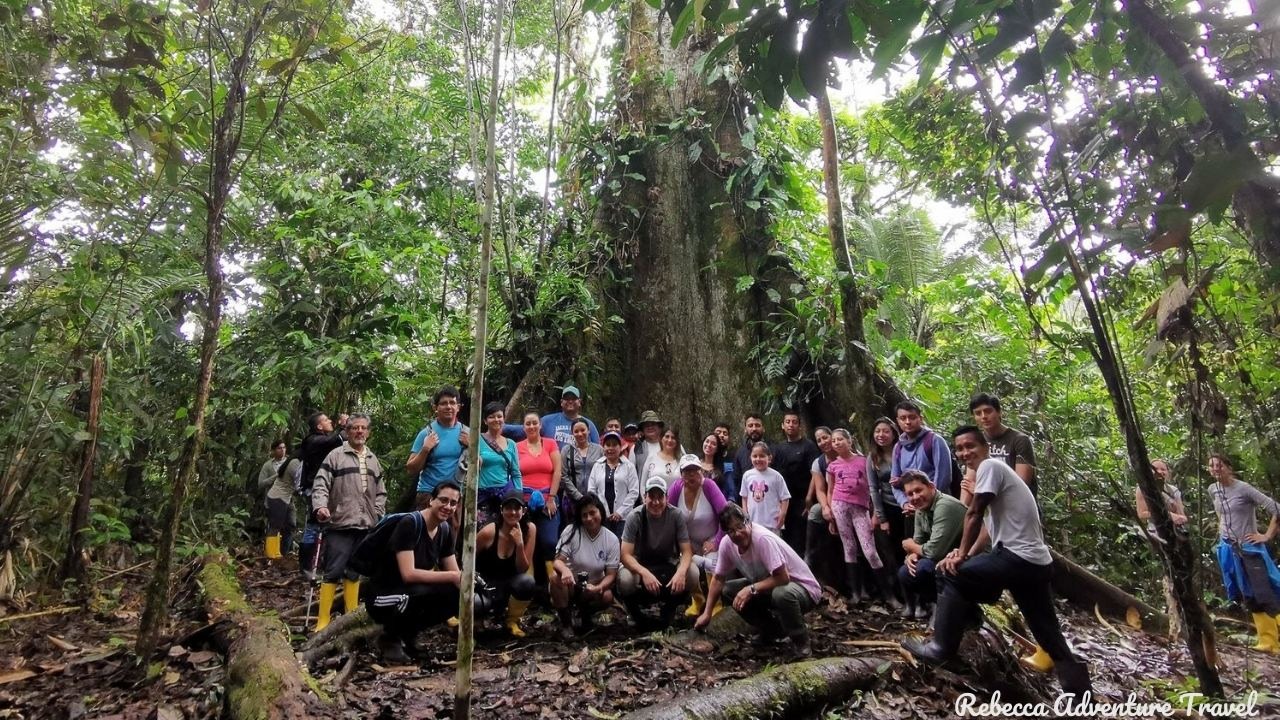 Ceibo tree - Amazon Adventure at Suchipakari
