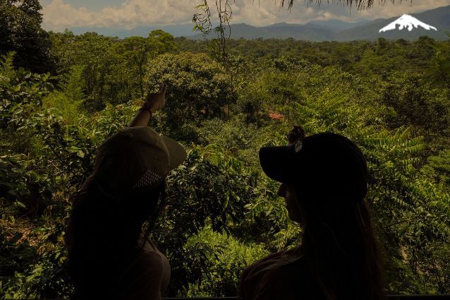 Exploring Pacha Lodge in the Amazon