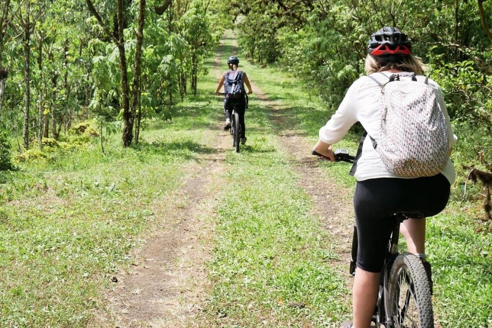 Cyclists riding mountain bikes along a lush dirt trail through the highland forest during a Cerro Mesa biking tour