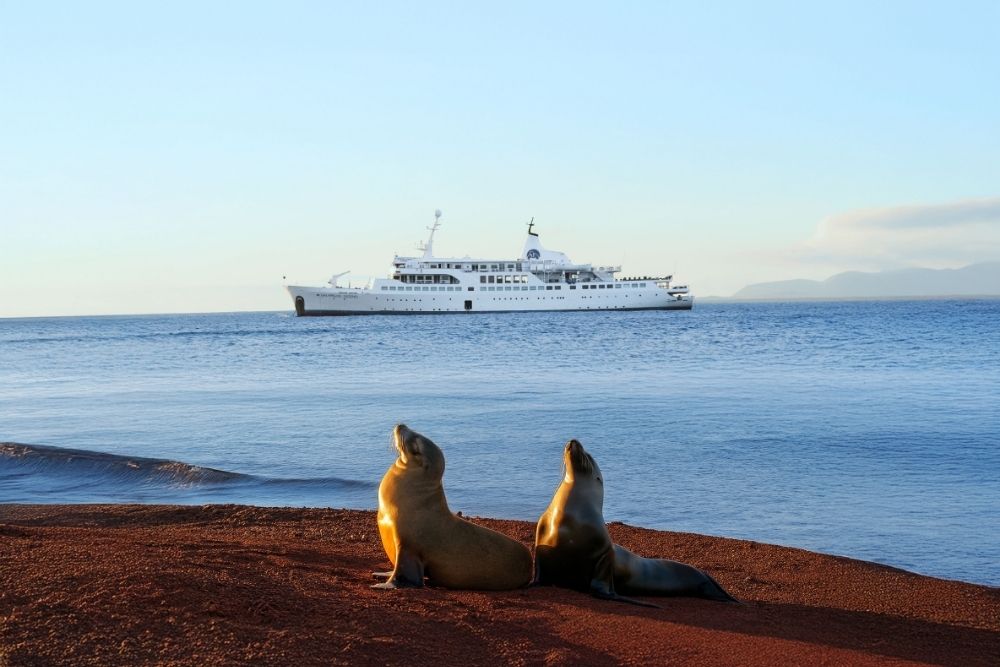 Galápagos sea lions relaxing on red sand beach while the Galapagos Legend cruise vessel anchors during a 17 day Ecuador trip