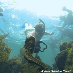 Rebecca Adventure Travel Galapagos Snorkeling