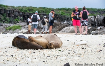 4 Day Galapagos Island Hopping Classic