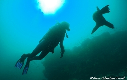 Galapagos Diving and Hiking