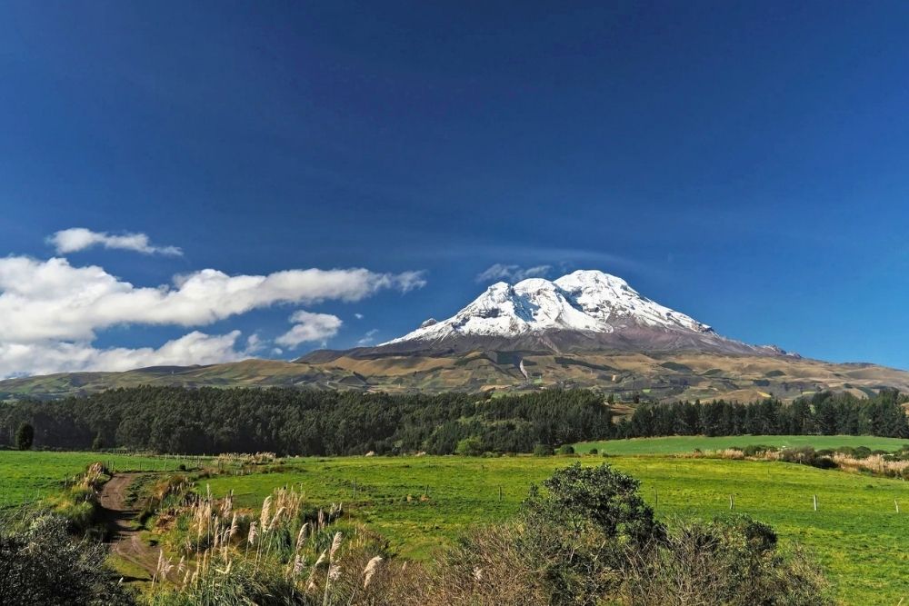 Snow-capped Chimborazo volcano rising above green valleys and pine forests along an avenue of the volcanos tour in Ecuador