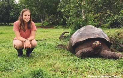Giant Tortoise at Galapagos