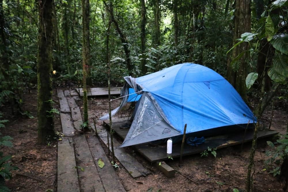 yasuni cuyabeno - camping site