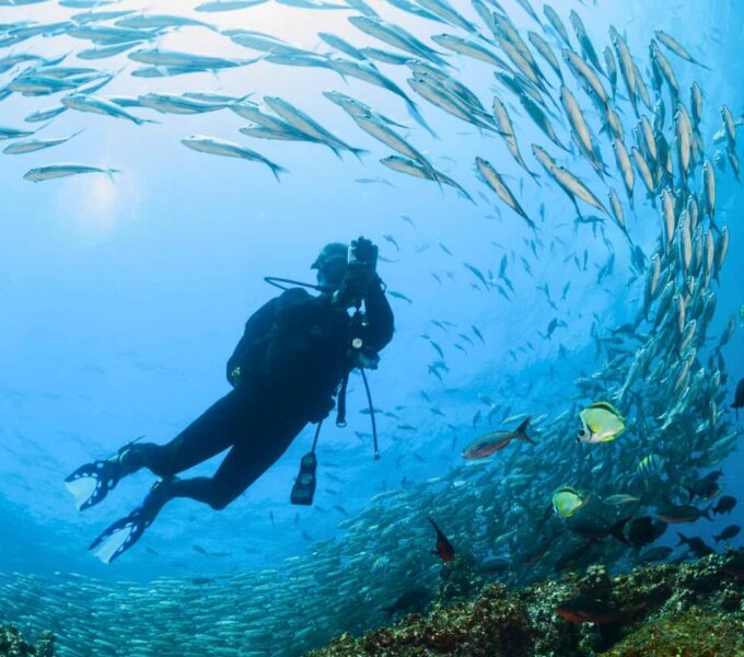 snorkeling vs diving