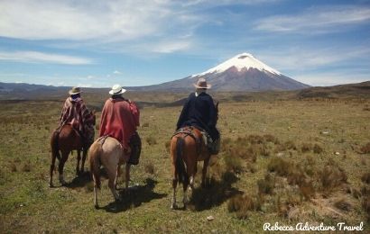 Andes Horses