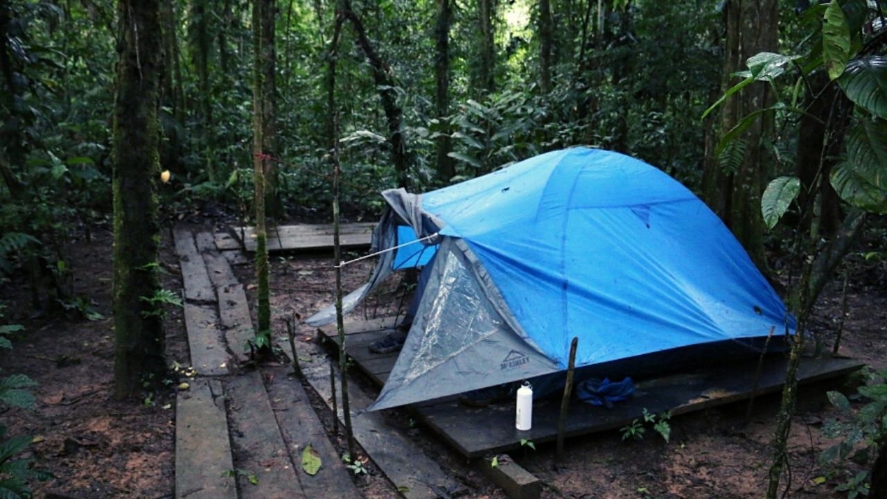Yasuni Camping