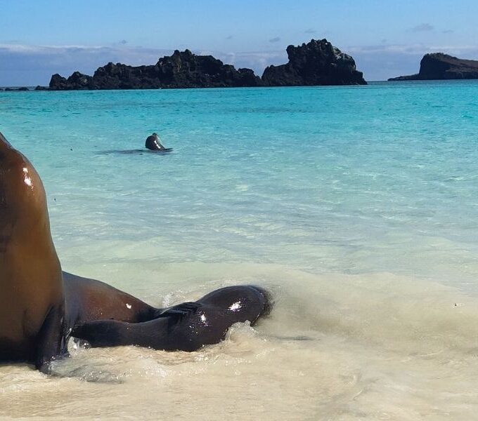 responsible travel- safeguarding galapagos