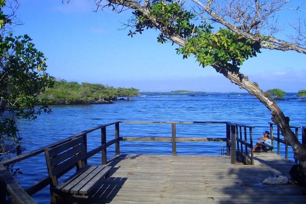 A wooden boardwalk overlooking the clear blue waters of Concha Perla during a scenic isabela tour in Galapagos