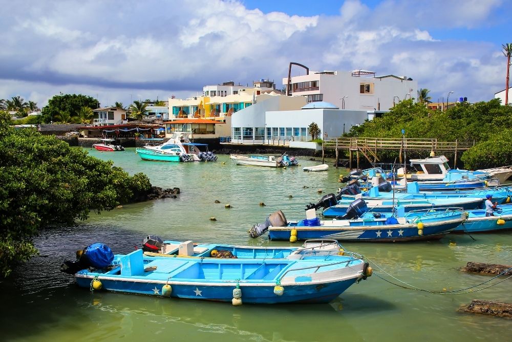 Colorful motorboats anchored in the calm turquoise bay during a scenic Puerto Ayora Bay Tour in the Galapagos
