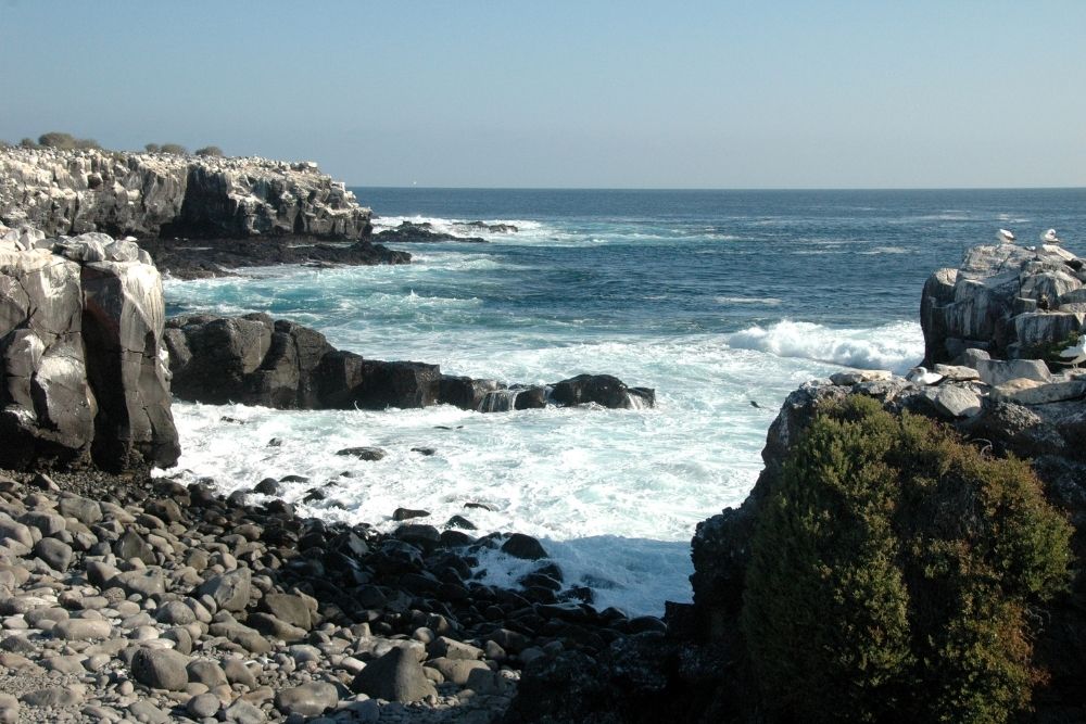 Waves crashing against dark volcanic cliffs along the rocky coastline at Punta Suárez on an Española Island tour