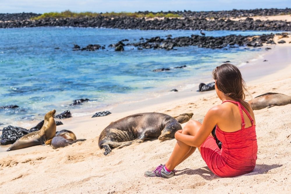 A woman sitting on the sandy shore near sea lions at Playa Mann on a 4 day san cristobal expedition