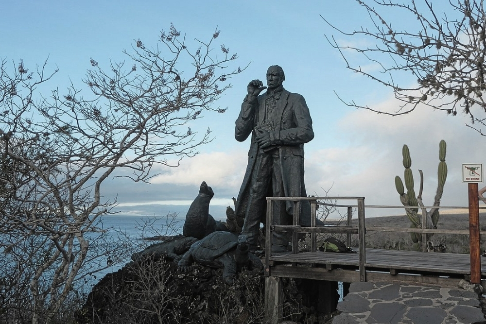 Bronze Charles Darwin statue on a wooden boardwalk at Tijeretas viewpoint during a galapagos 3 islands tour