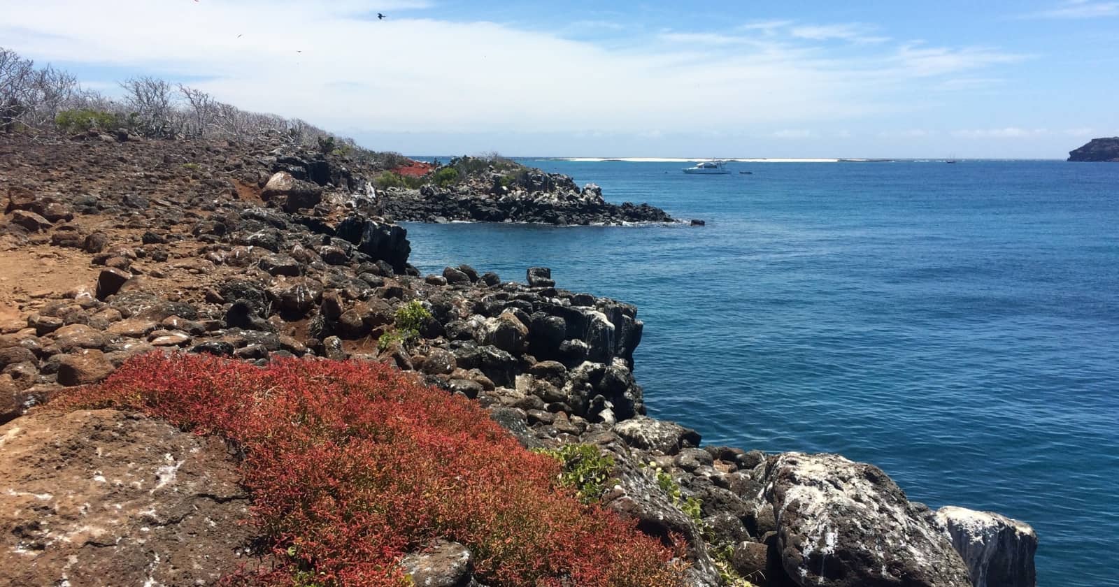 Why galapagos is worth visiting 1 why galapagos is worth visiting