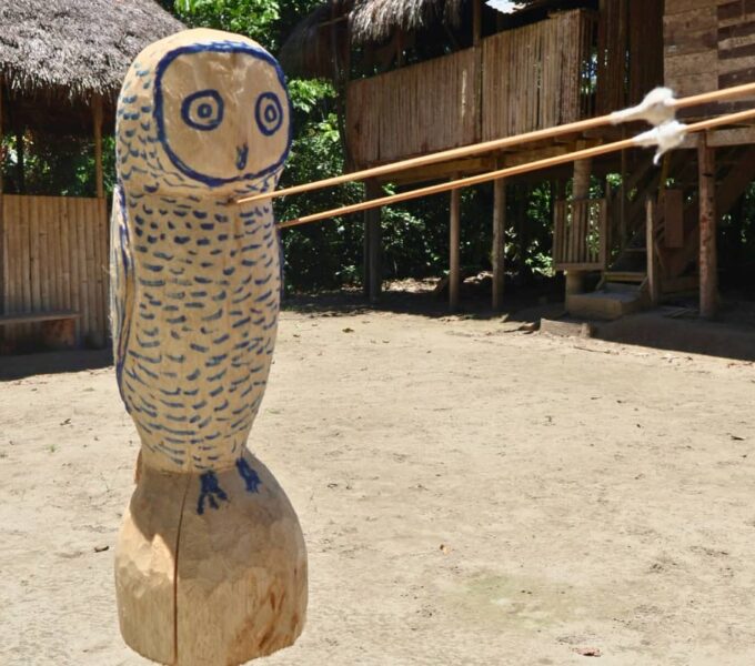 yasuni national park experience