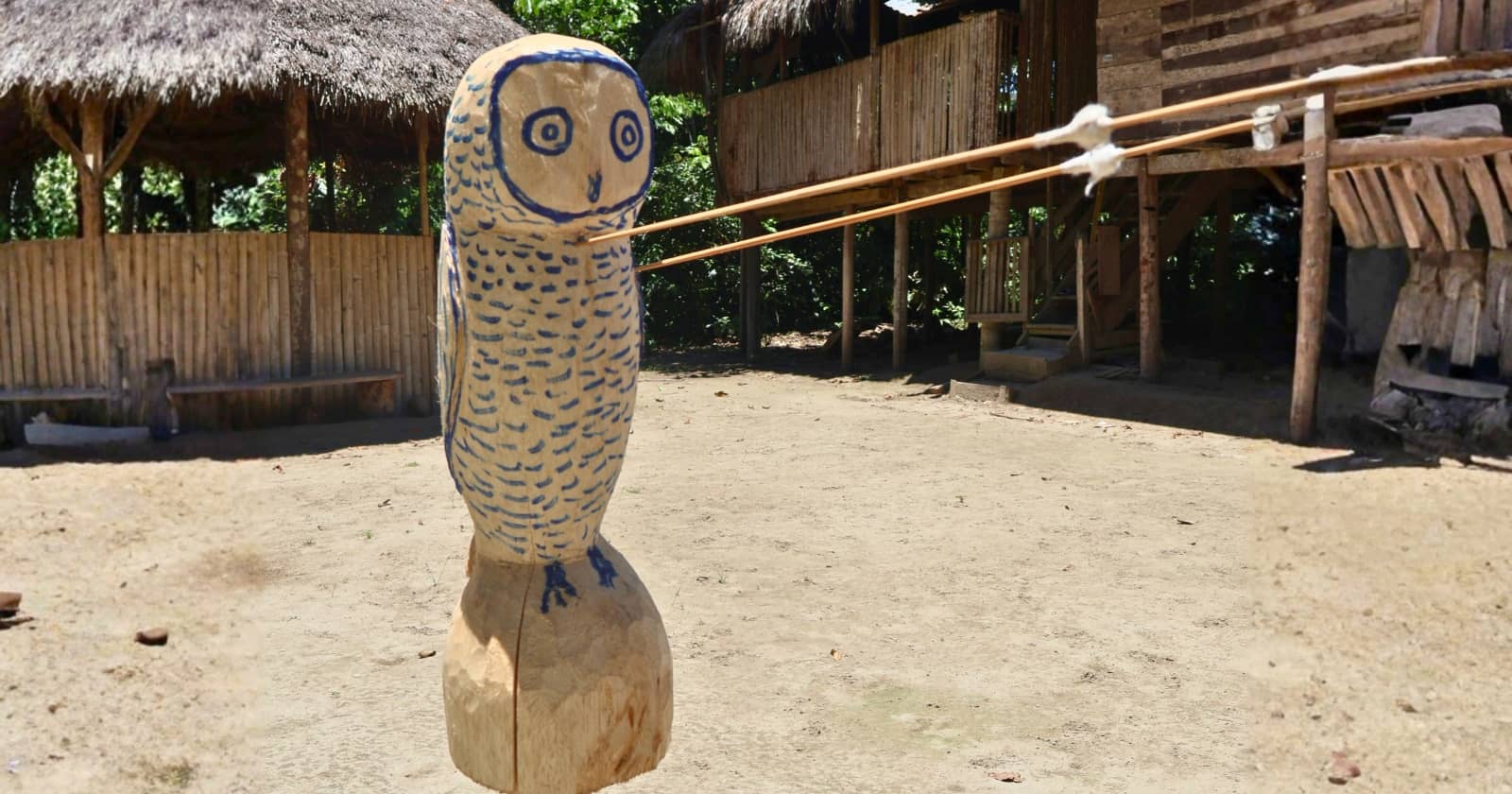 yasuni national park experience