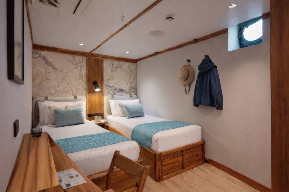 Evolution Twin Deluxe Suite
