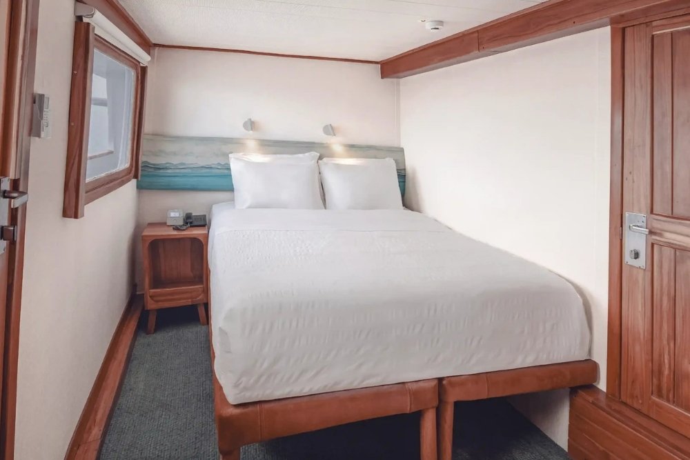 A bright double bed cabin featuring a large window and wood trim aboard the Coral Yachts.