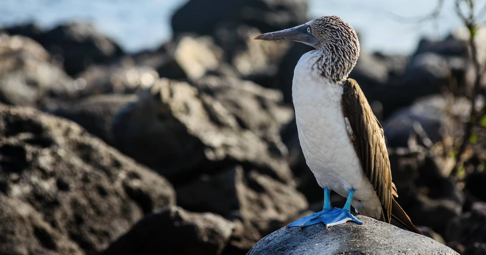 can you visit the galapagos islands