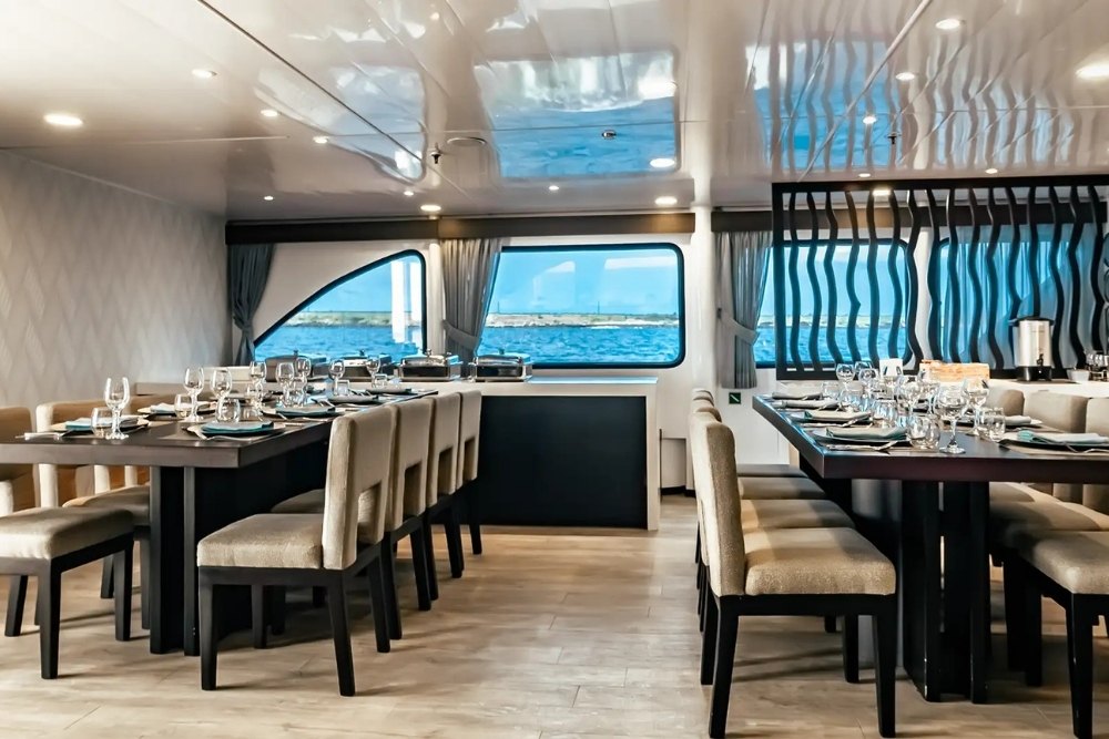 two tables used for the passanger for their meals at ecogalaxy
