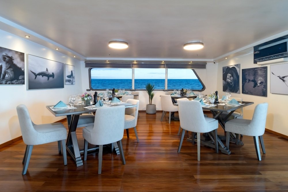The elegant indoor dining room of the Galapagos Horizon cruise yacht showcasing wooden floors, white chairs, set tables, and a large panoramic window displaying the open sea.