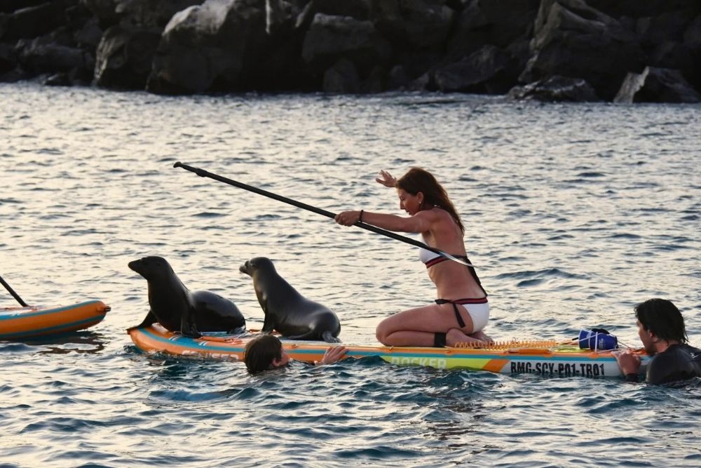 Paddleboarder sharing a board with sea lions in San Cristobal, practicing responsible galapagos travel guidelines