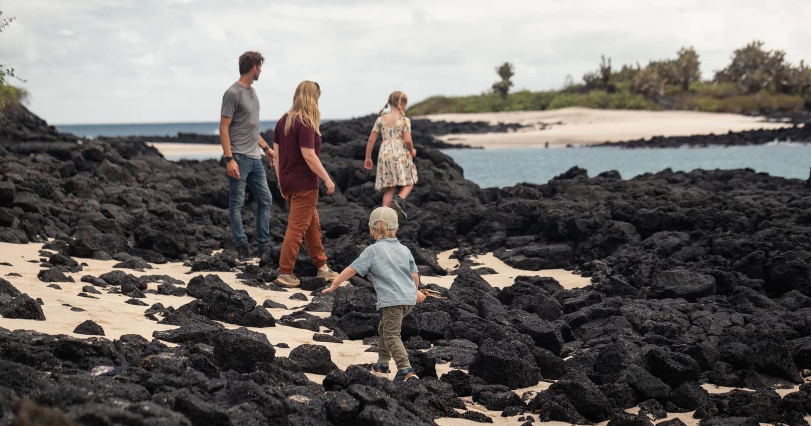 Infants and toddlers 1 infants and toddlers travel to galapagos