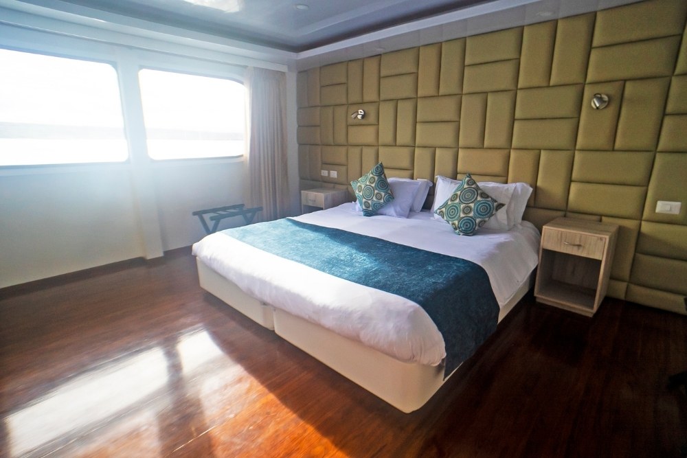 a spacious master cabin on the petrel luxury cruise featuring a large king bed, warm hardwood flooring, a modern textured headboard wall, and large panoramic windows overlooking the ocean.