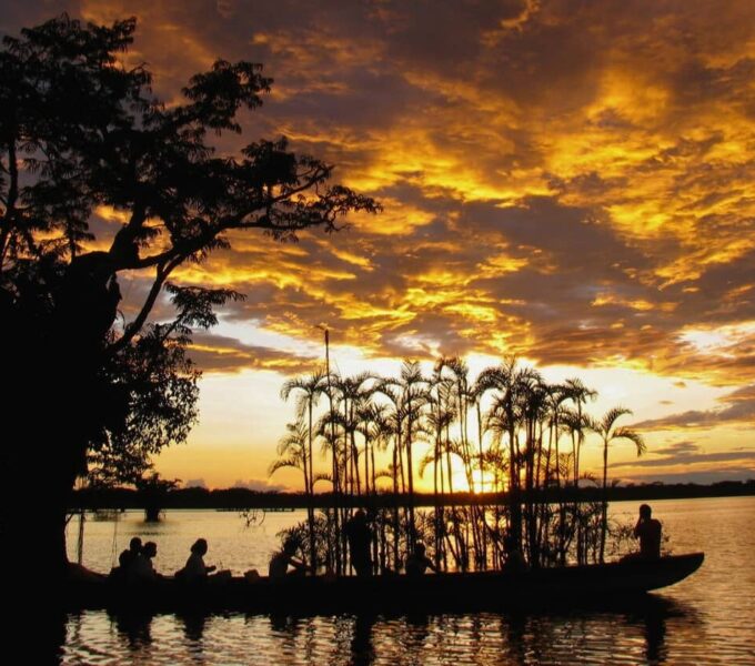 ecuadorian amazon - cruise or lodge