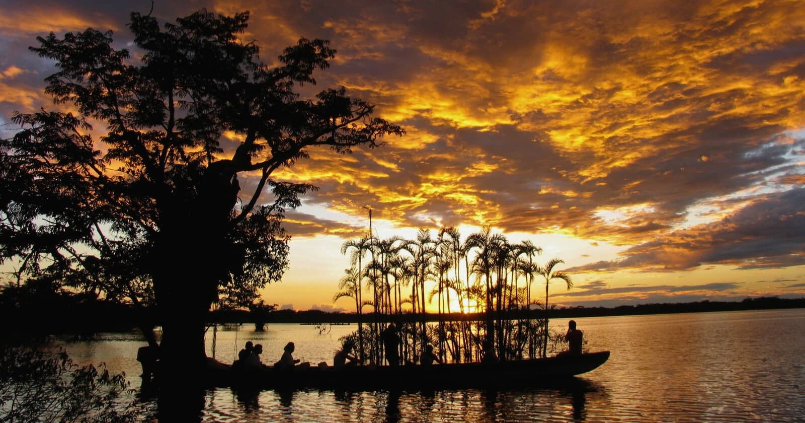 ecuadorian amazon - cruise or lodge