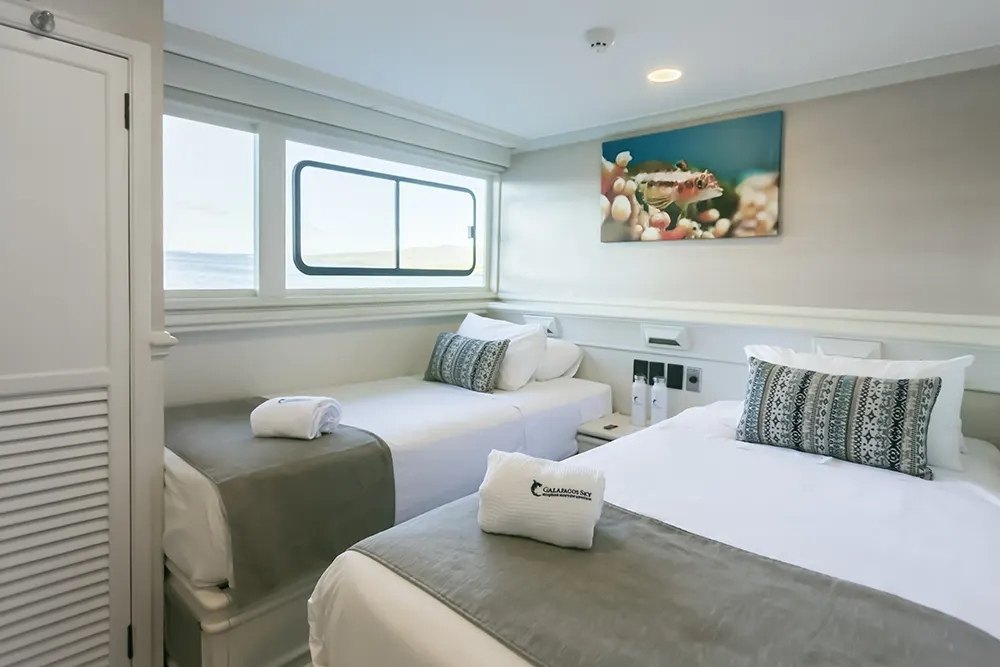 Two comfortables bed in the twin suite at the Galapagos Sky