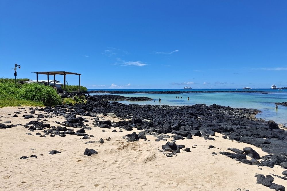 volcanic shoreline and calm waters at playa de la estación on santa cruz island, ideal for swimming and relaxing