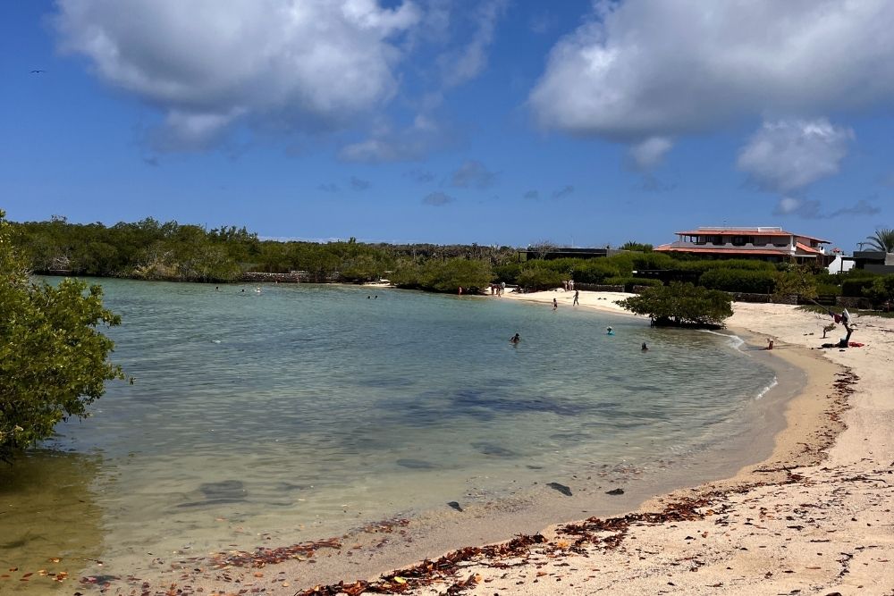 playa de los alemanes highlights the laid-back charm of the beaches on santa cruz