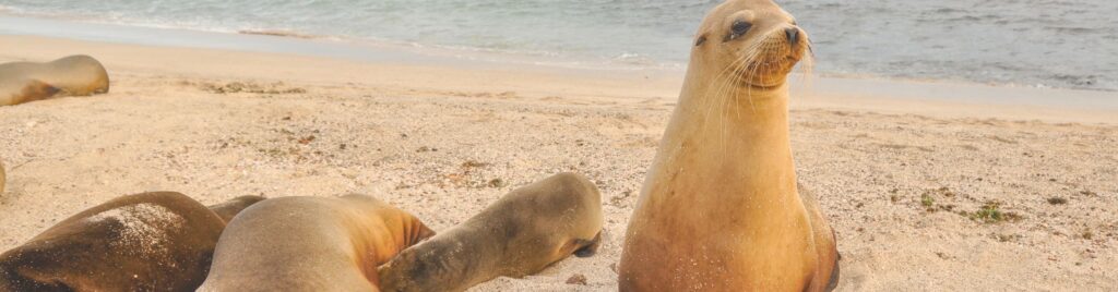 san cristobal island guide