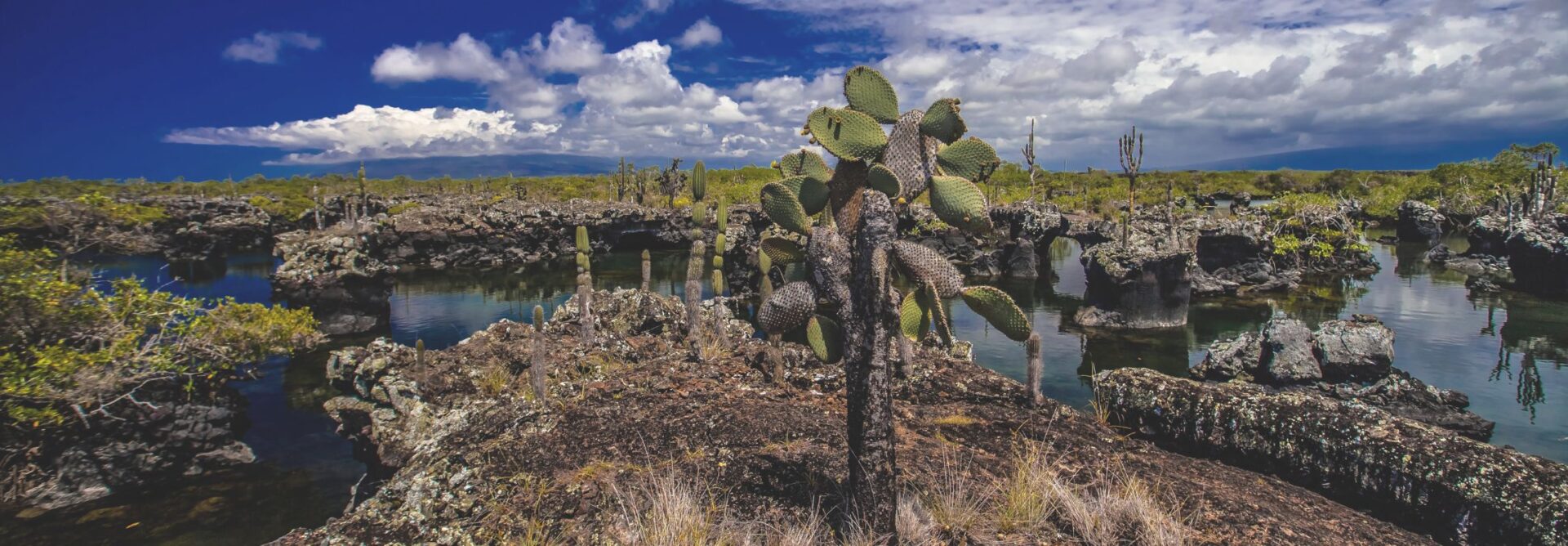 The Complete Galápagos Travel Guide: Isabela Island