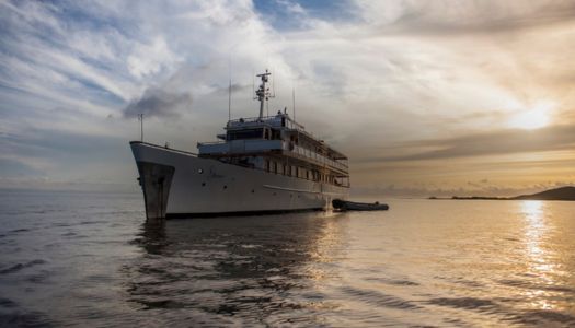 top5 - grace galapagos cruise - small ship cruise