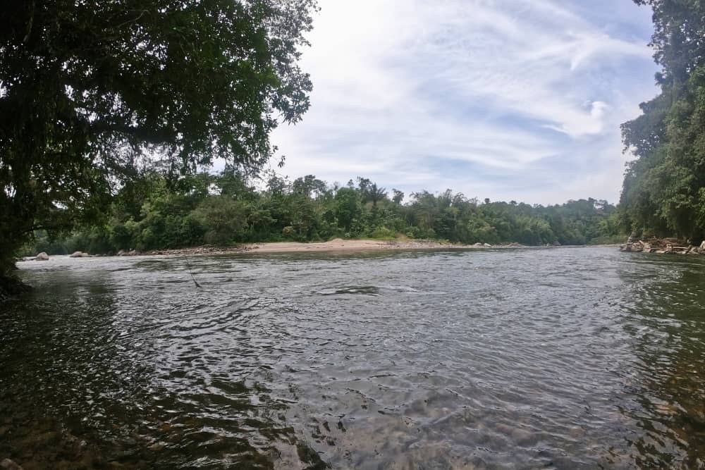 hollin river