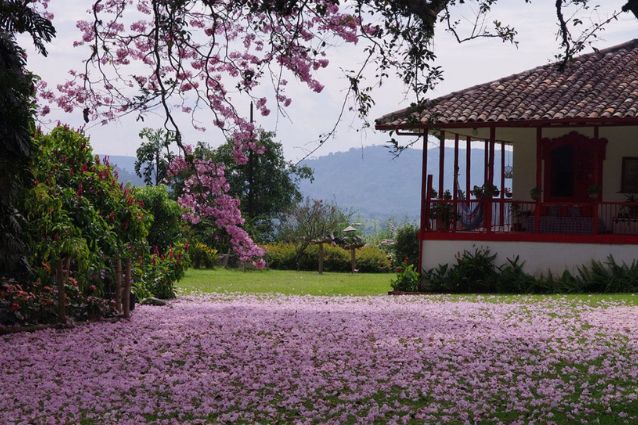 andes hotels