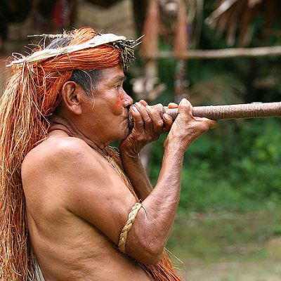 top 5 - 5 day peru amazon tambopata