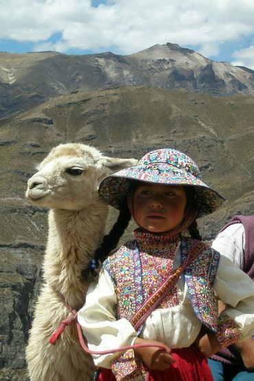 little girl of peru with a llama near machu picchu.