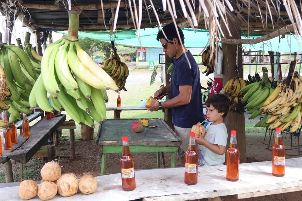 kid-friendly activities in costa rica