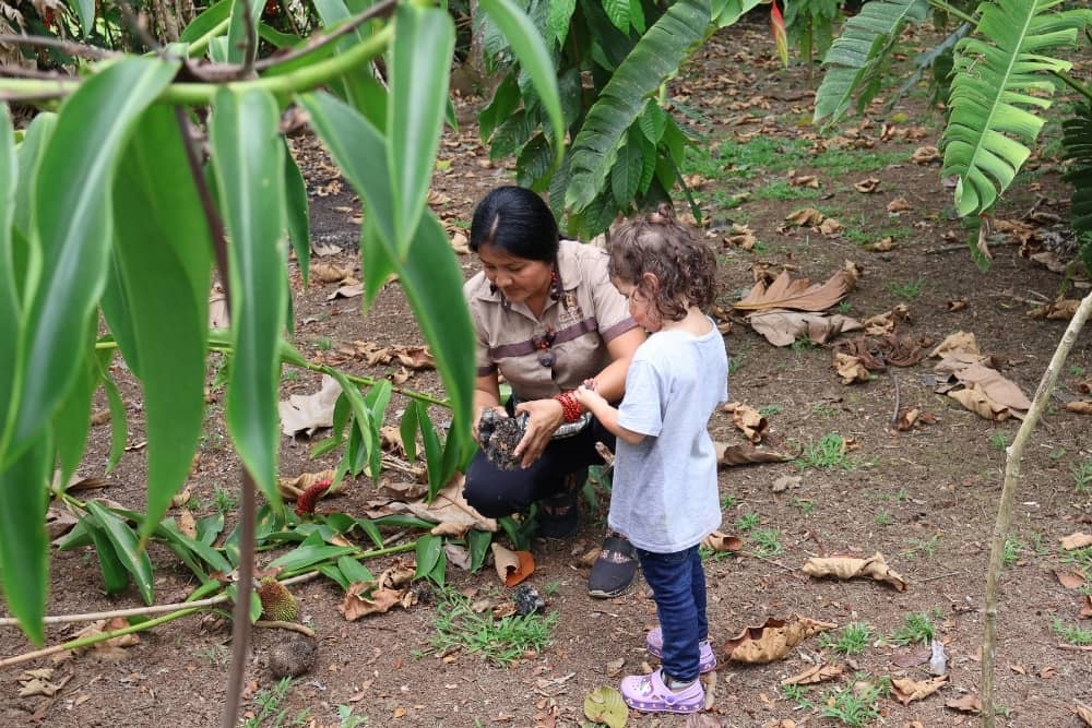 maleku traditional farm in costa rica