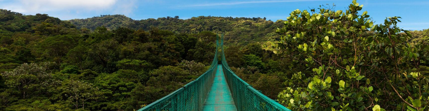 Monteverde Hotels