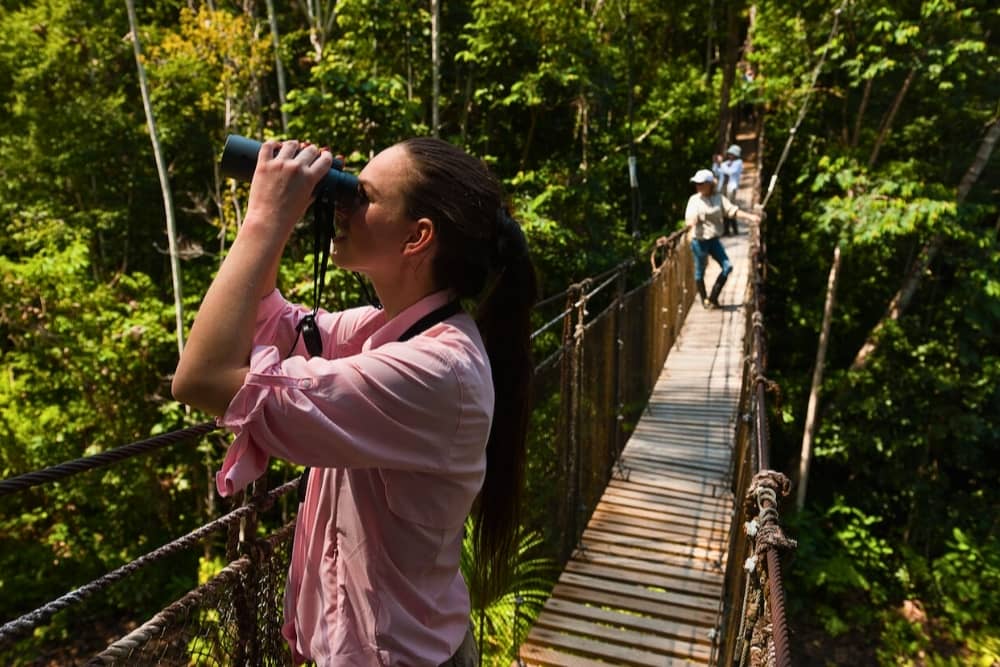 peru travel experiences - canopy in the peruvian amazon