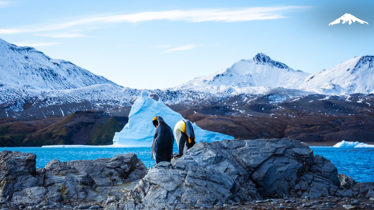 antartic women expedition