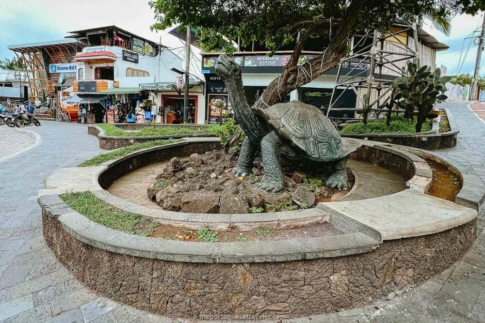 Giant tortoise statue in a stone plaza on a Free day Santa Cruz exploration with Galápagos islands tours for families